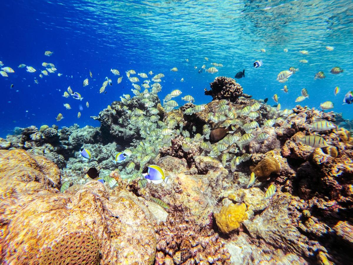 Nemo Inn Omadhoo Εξωτερικό φωτογραφία