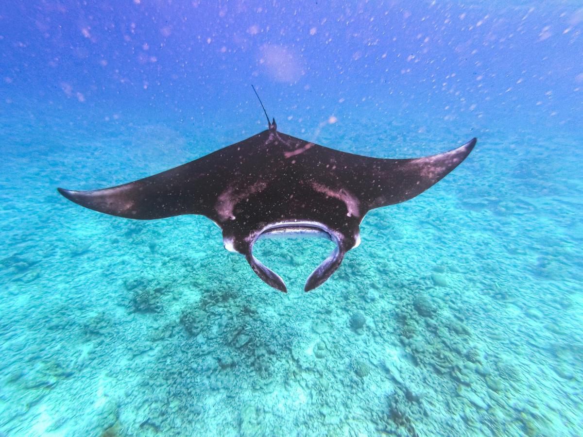 Nemo Inn Omadhoo Εξωτερικό φωτογραφία